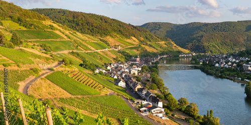 Germany, Rhineland-Palatinate, Zell, Village in Mosel Valley with vineyards in foreground photo