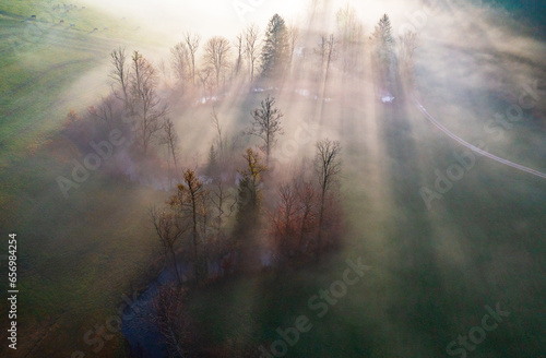 Austria, Upper Austria, Drone view of grove of autumn trees at foggy dawn