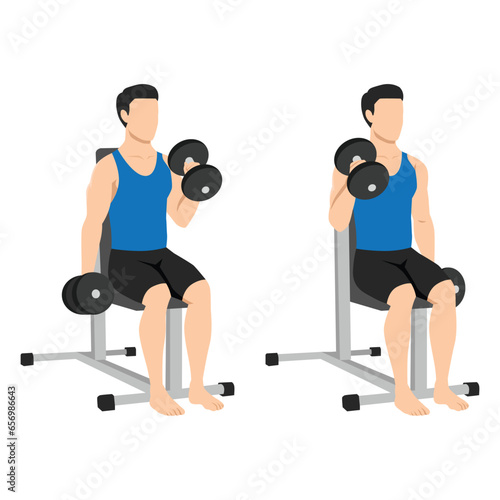 Man doing seated dumbbell bicep hammer curls exercise. Flat vector illustration isolated on white background