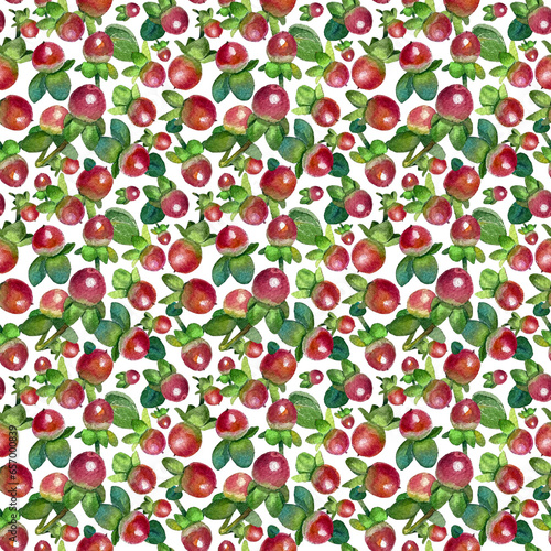 hypericum, red berries with watercolor leaves, seamless pattern on white background. High quality photo