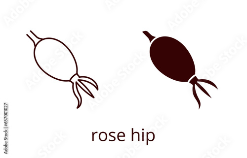 Rose hip icon, line editable stroke and silhouette