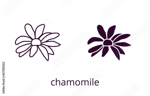 Chamomile icon, line editable stroke and silhouette
