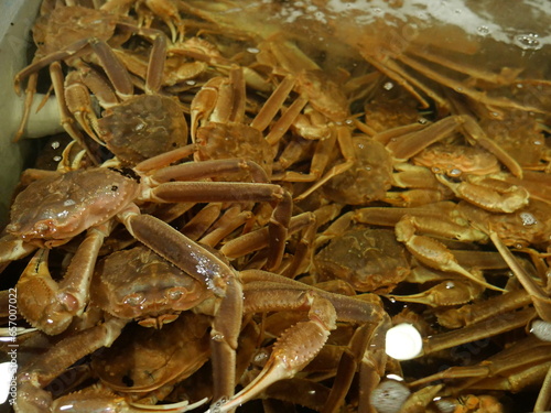 Giant crabs in the water tank