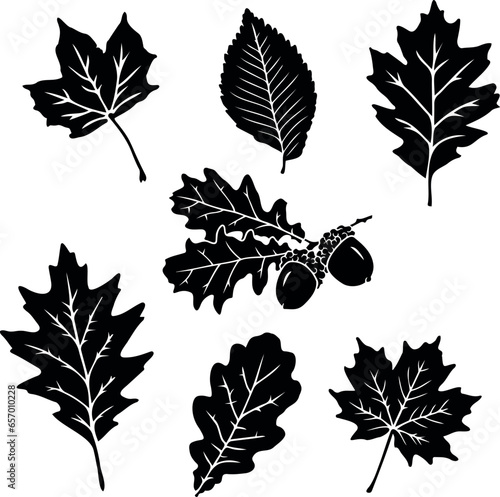 Autumn leaves
