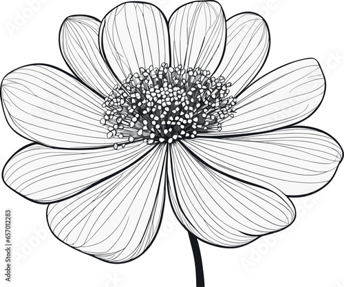 This is a realistic line drawing of a flower in vector format. The flower is drawn with thin, delicate lines that capture the beauty and detail of the petals. The file is high-quality and can be scale