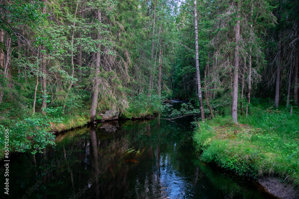 River in the forest with rocks and green foliage. Beautiful river in the forest. Landscape River in the forest with rocks and green foliage. Beautiful river in the forest. Landscape