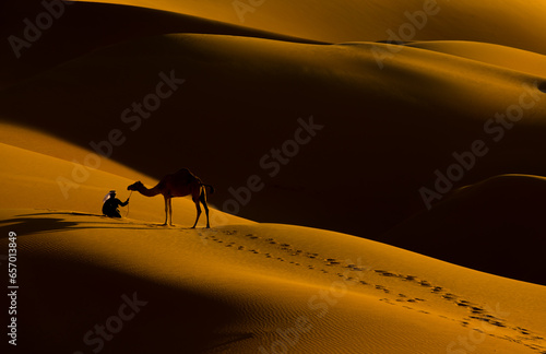 Beautiful dunes in the Arabian desert of Abu Dhabi - UAE
