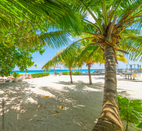 Anse Kerlan beach shore on a sunny day photo