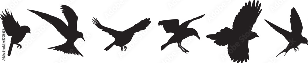 Fototapeta premium flies flies silhouette, on a white background, vector