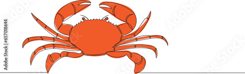 crab drawing continuous line, sketch, on a white background, vector
