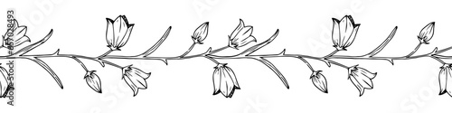 Vector hand drawn bellflower and leaves seamless brush. Wildflower in realistic style. Floral sketch pattern. photo