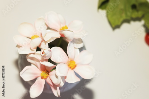 flowers in a vase  a bouquet of flowers in a white vase  flowers in a glass vase  decorative bouquet  postcard  bouquet on the table  pink flowers on a white background  happy birthday  congratulation