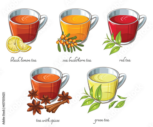 Tea Collection, Different Cups of Tea, Black Red Green Tea. Tea Realistic Illustration. Perfect for Tea Shop, Cafe Banner