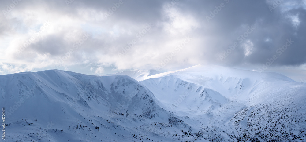Winter panoramic. Landscape of high mountains with snow white peak. Forest. Lawn covered with snow. Evergreen trees in the snowdrifts. Christmas wonderland. Snowy wallpaper background.