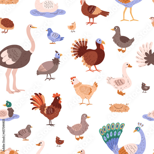 Poultry birds vector cartoon seamless pattern, different farm birds hen goose, duck, peacock, pheasant ostrich turkey