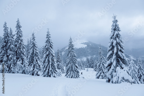 Winter landscape of high mountains with snow white peak. Forest. Lawn covered with snow. Evergreen trees in the snowdrifts. Christmas wonderland. Snowy wallpaper background.