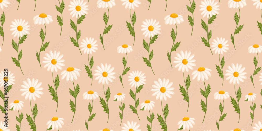 Obraz premium Seamless pattern with blooming daisies. Chamomile vector floral illustration for postcard, poster, fabric, wrapping paper, decor etc. Flowers for spring and summer holidays.