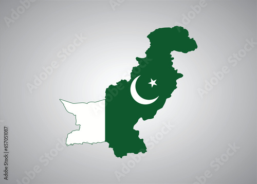 Pakistani flag map vector design 