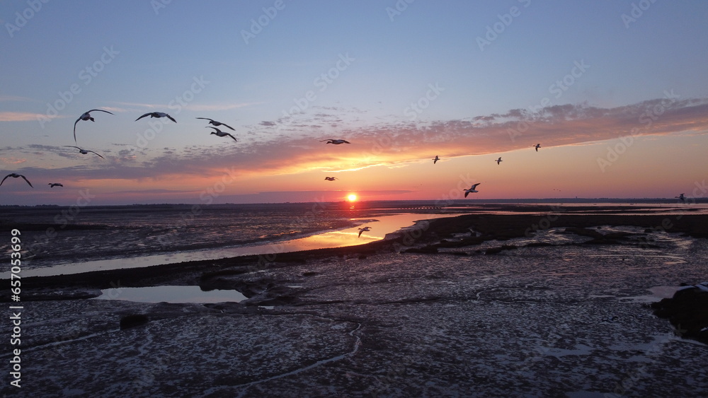 Obraz premium Lever de soleil sur l'ile de ré_2