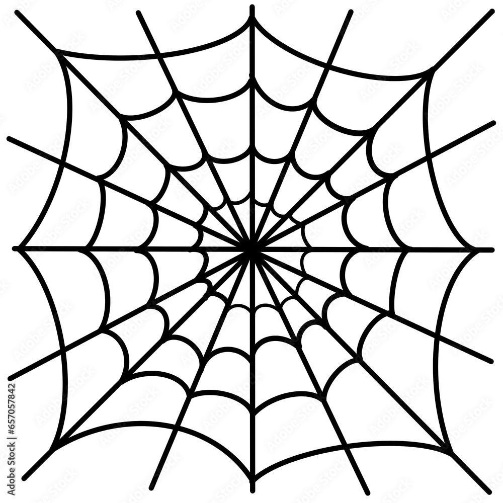 Obraz premium Spider web 