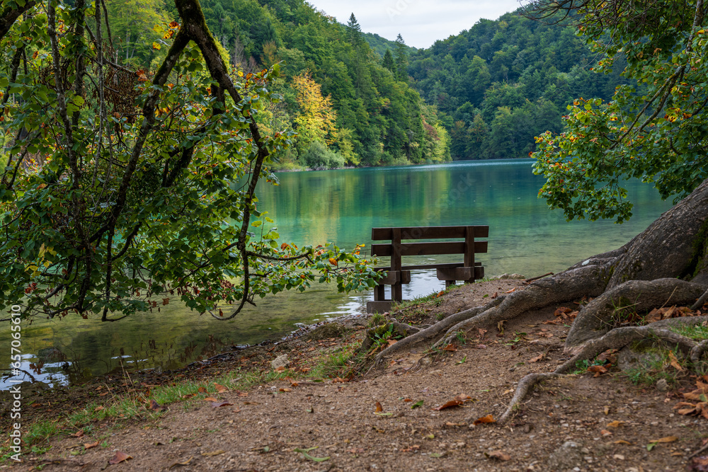 Fototapeta premium Autumm the bright colors in the forest