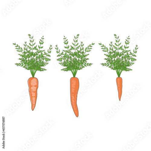 carrots