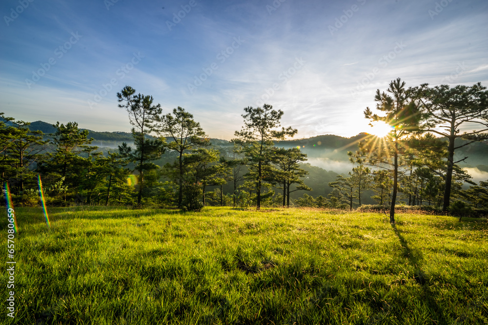 The sun shines brightly on the pine hills in Da Lat 