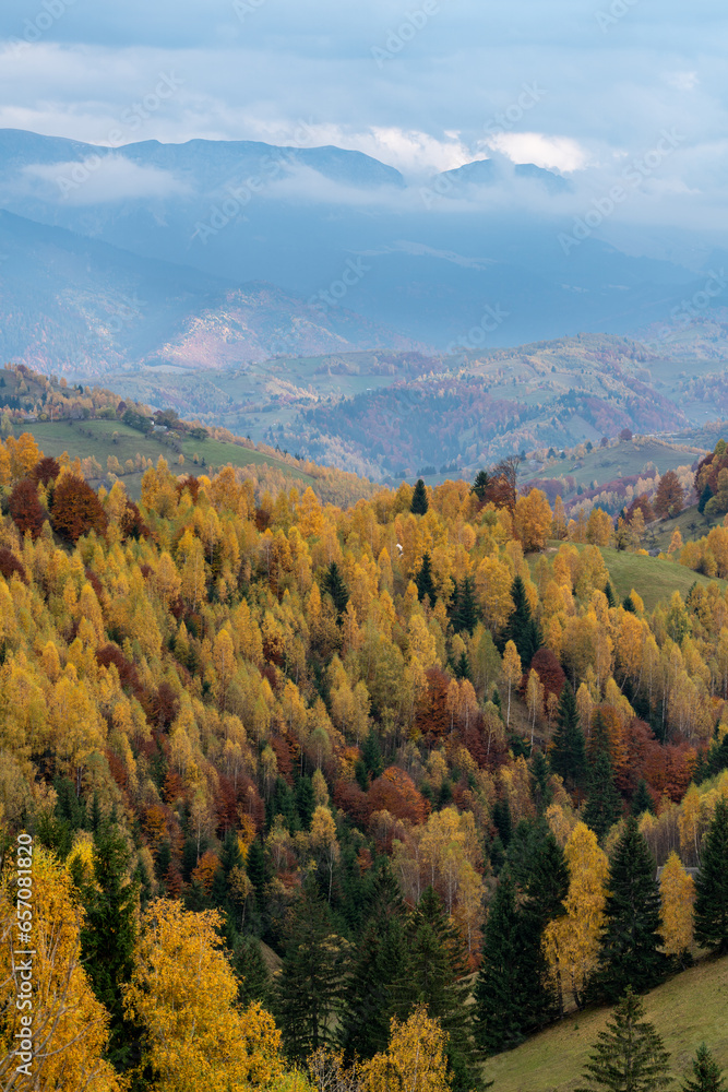 autumn forest in the mountains autumn forest in the mountains