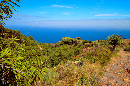 Fototapeta Naklejka Na Ścianę i Meble -  Landschaft von Las Tricias auf La Palma.