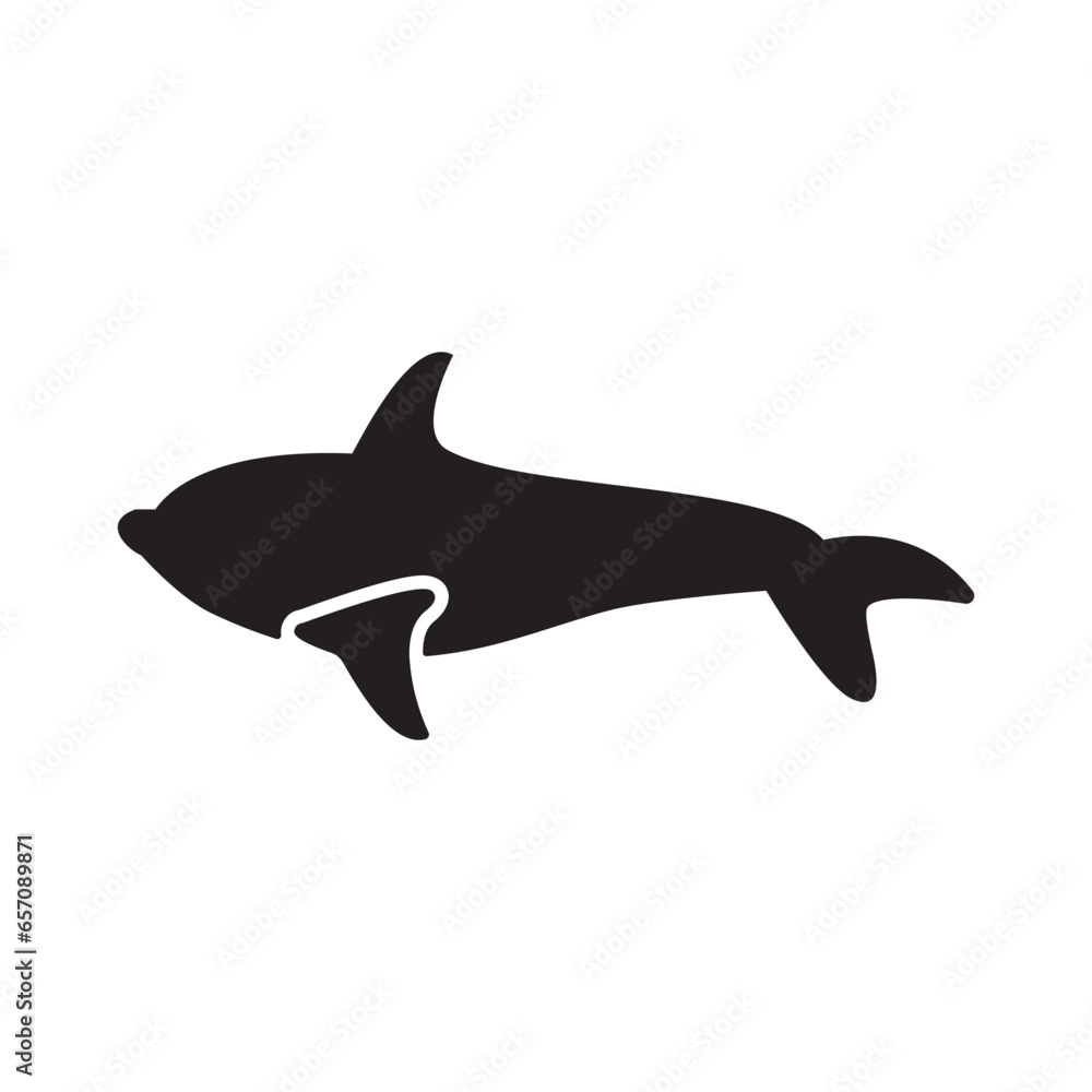 fish fish