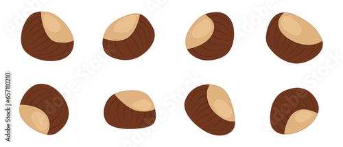 Drawn cartoon brown autumn chestnut without background. Vector illustration.