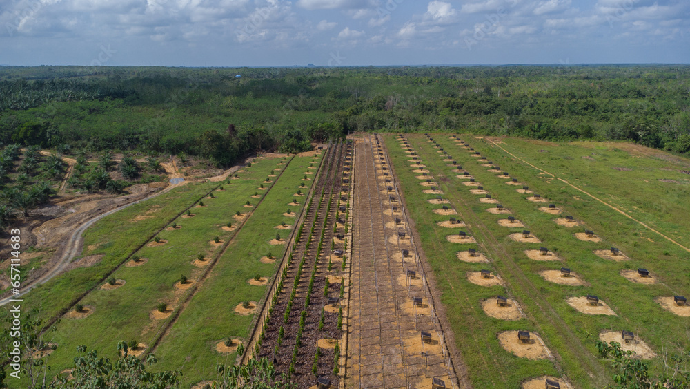Aerial view of farmer's plantation with various types of plants
