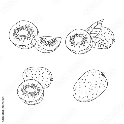 Hand drawn icon set of kiwi fruit isolated on white background.