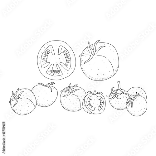 Hand drawn tomato set. cherry tomatoes doodle isolated on white background. Outline ink slyle sketch. Vector coloring illustration.