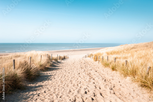 Sandy dunes on the beach in Noordwijk, Netherlands. Beautiful seascape in sunny day