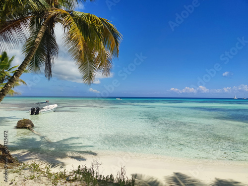 Paradise island, beach and palm trees © Svetlana