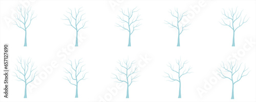 Hand Drawn Winter Tree Collection