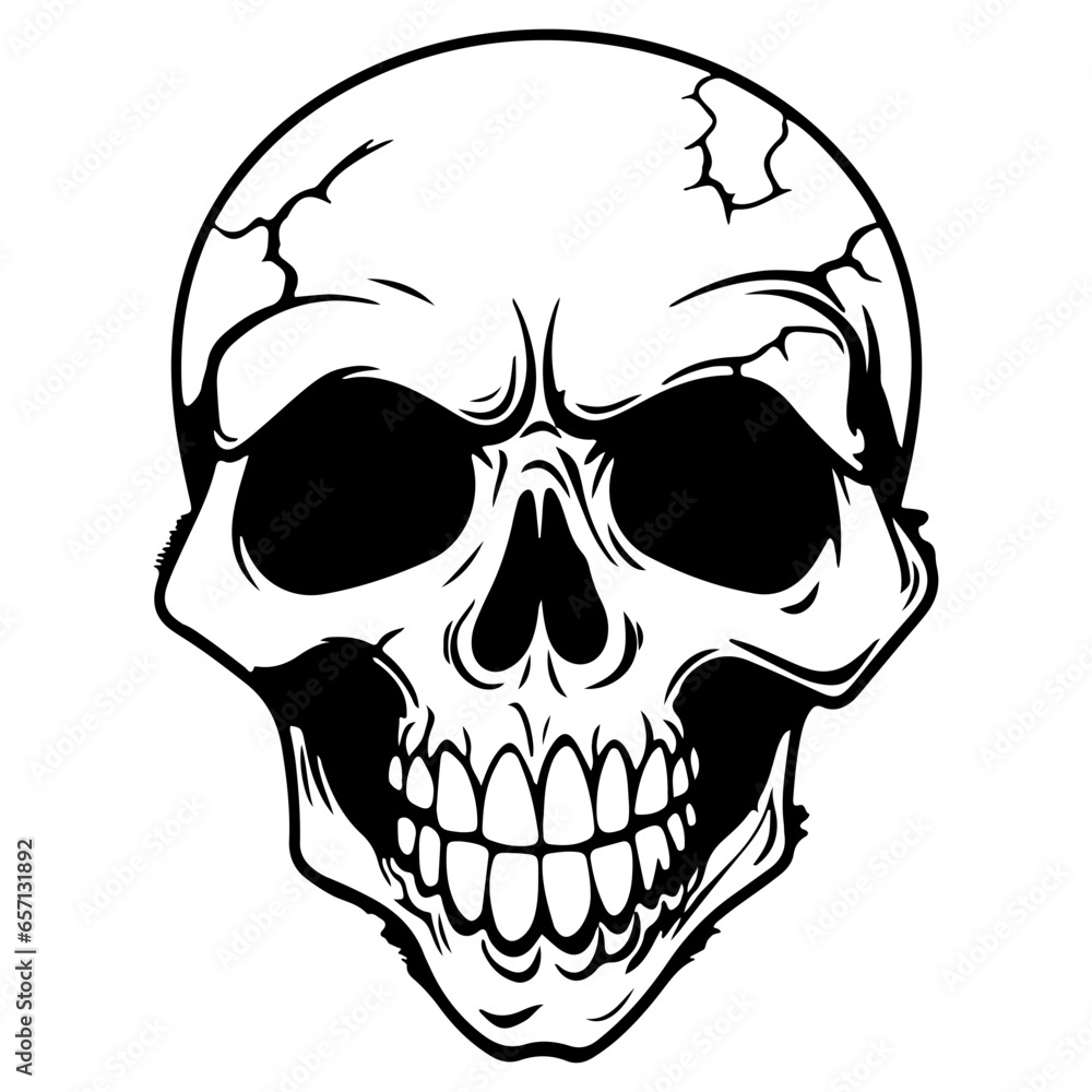 Fototapeta premium human skull, Danger skull