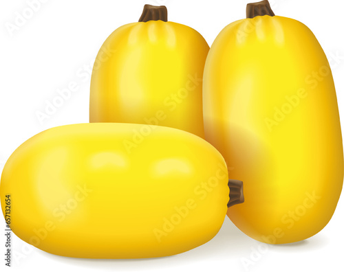 Group of Orangetti Spaghetti Squash. Winter squash. Cucurbita pepo. Fruits and vegetables. Isolated vector illustration. photo