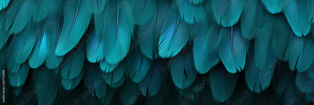 Obraz premium BEAUTIFUL, BRIGHT, GRACEFUL BACKGROUND OF COLORFUL BIRD PLUMES FOR YOUR DESIGN, legal AI