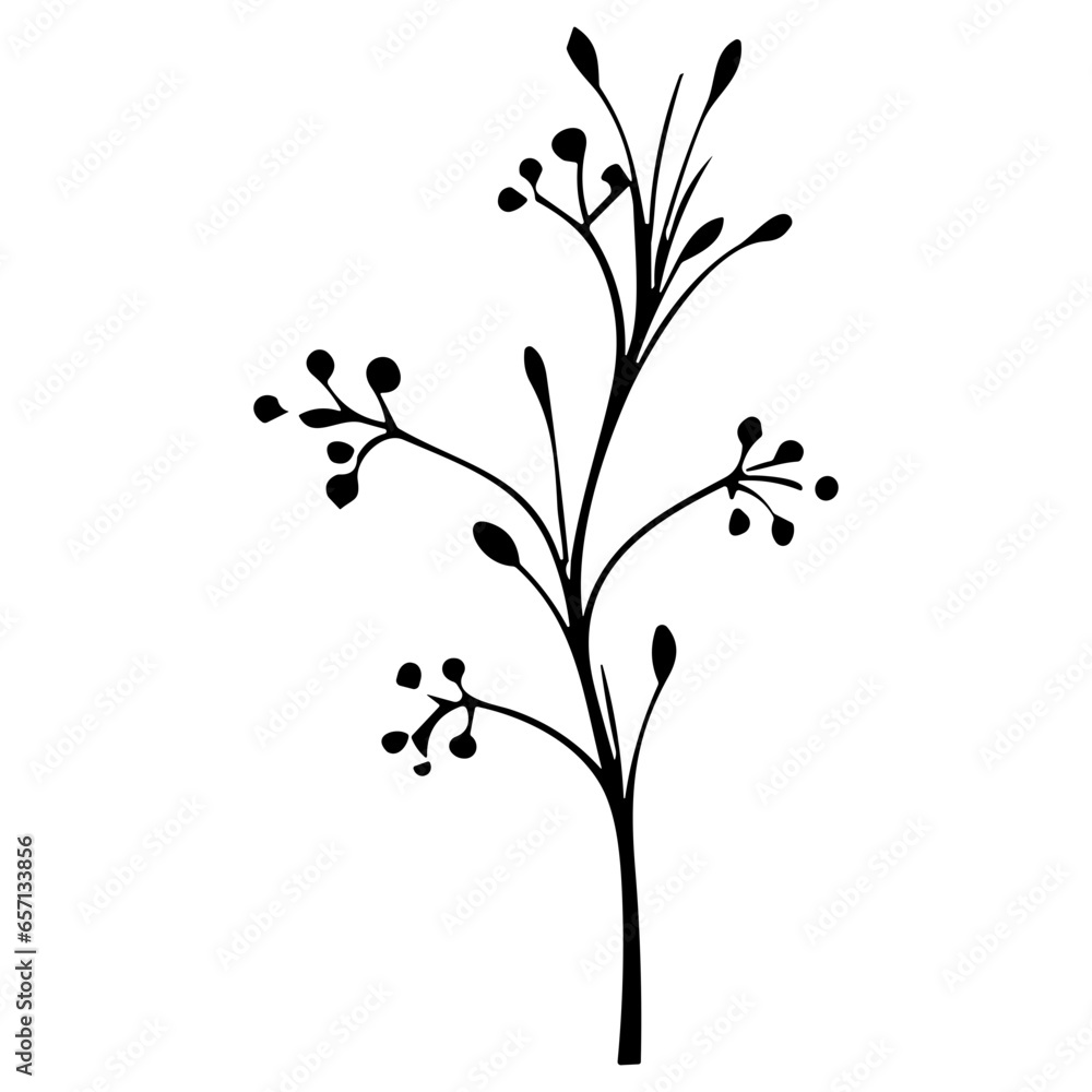 plants, leaves. Hand drawn decorative elements.
