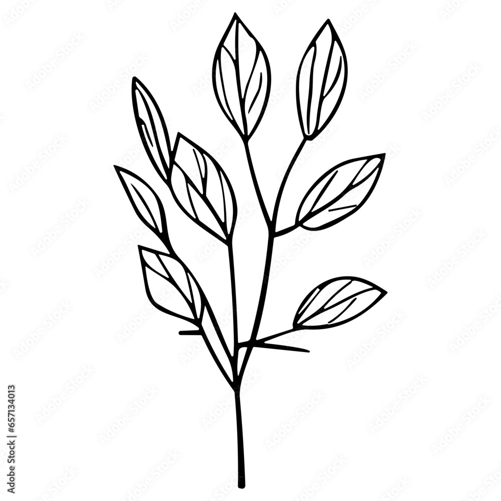 plants, leaves. Hand drawn decorative elements.
plants, leaves. Hand drawn decorative elements.
