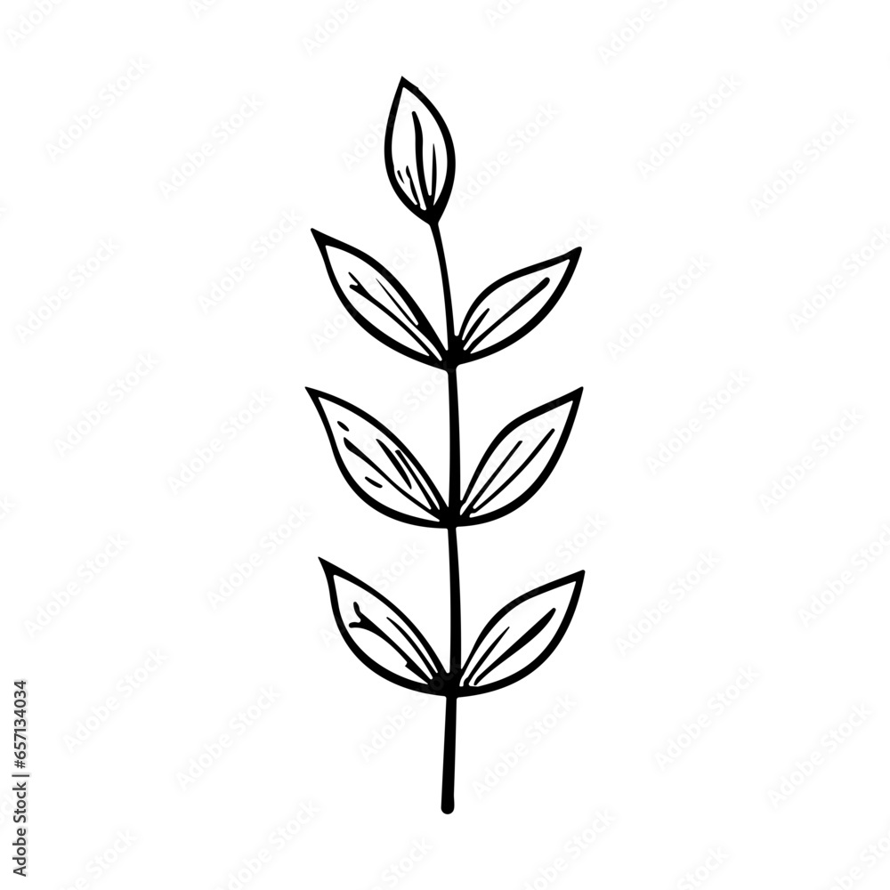 plants, leaves. Hand drawn decorative elements.
plants, leaves. Hand drawn decorative elements.