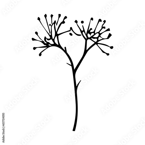 plants, leaves. Hand drawn decorative elements.
