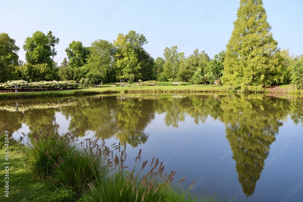The peaceful lake in the country on a sunny day. The peaceful lake in the country on a sunny day.
