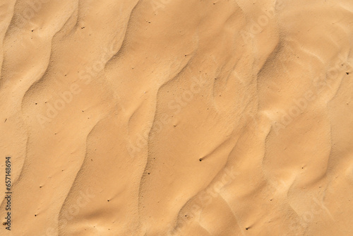 The desert Sahara sand texture in the summer sun.