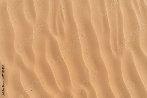 The desert Sahara sand texture in the summer sun.