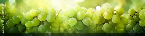 out of focus green grapes on the vine background illustration with lots of bokeh and room for copy text. © W&S Stock