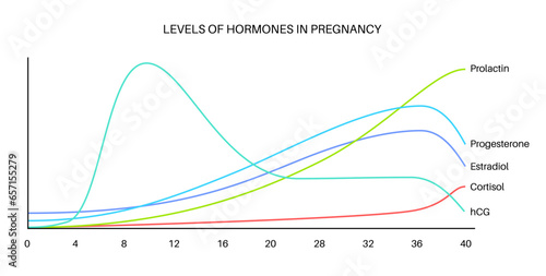 Hormones in pregnancy