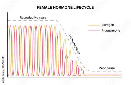 Hormones in pregnancy